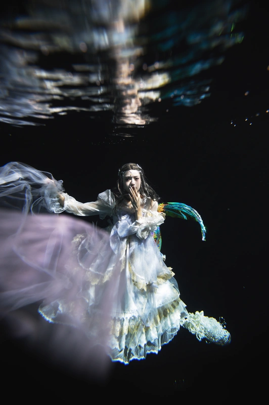 捕梦 - 兔子zzz不吃胡萝卜